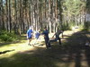 Поход 2004 №2 - Август. Карельский перешеек район Пятиярве